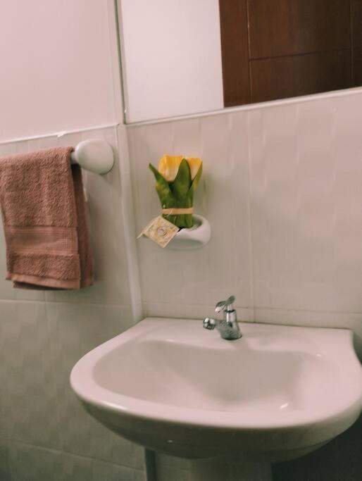 Apart Florencia, Piscina En El Verano! Incluye Parking Y Vigilancia 24 Horas! Tacna Buitenkant foto